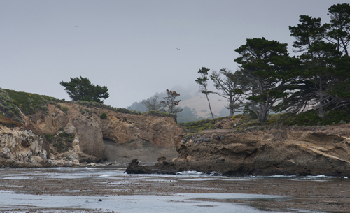 Point Lobos State Reserve, California