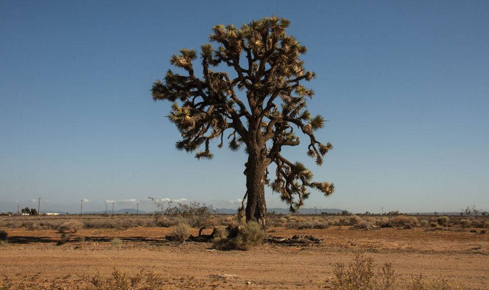 Death Valley National Park
