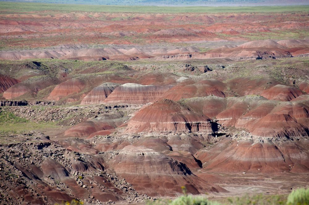 Petrified Forest National Park