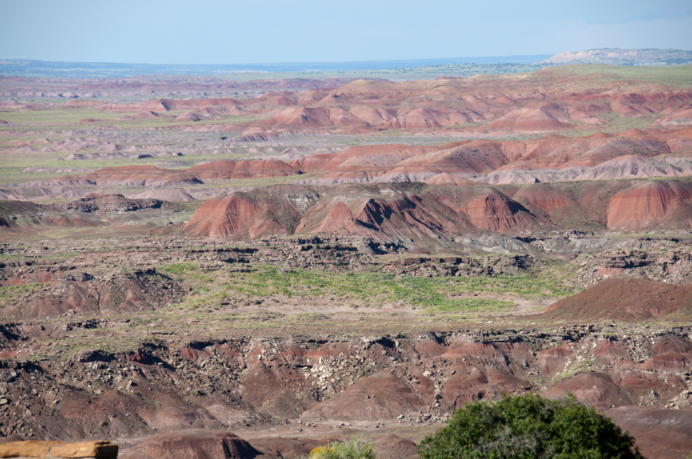 Petrified Forest National Park