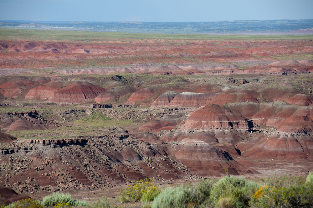 Petrified Forest National Park