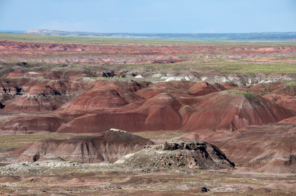 Petrified Forest National Park