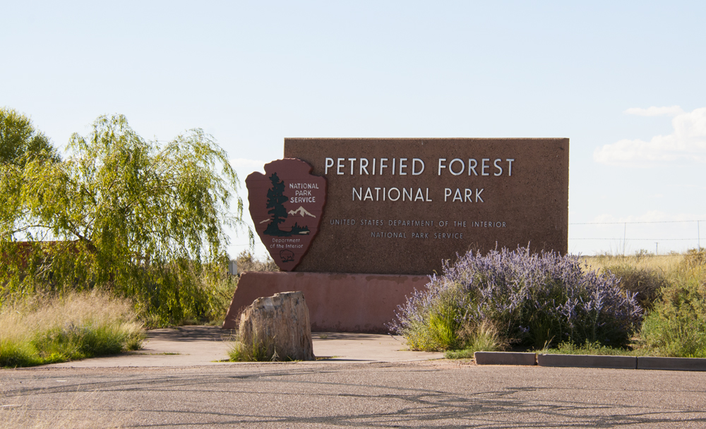 Petrified Forest National Park