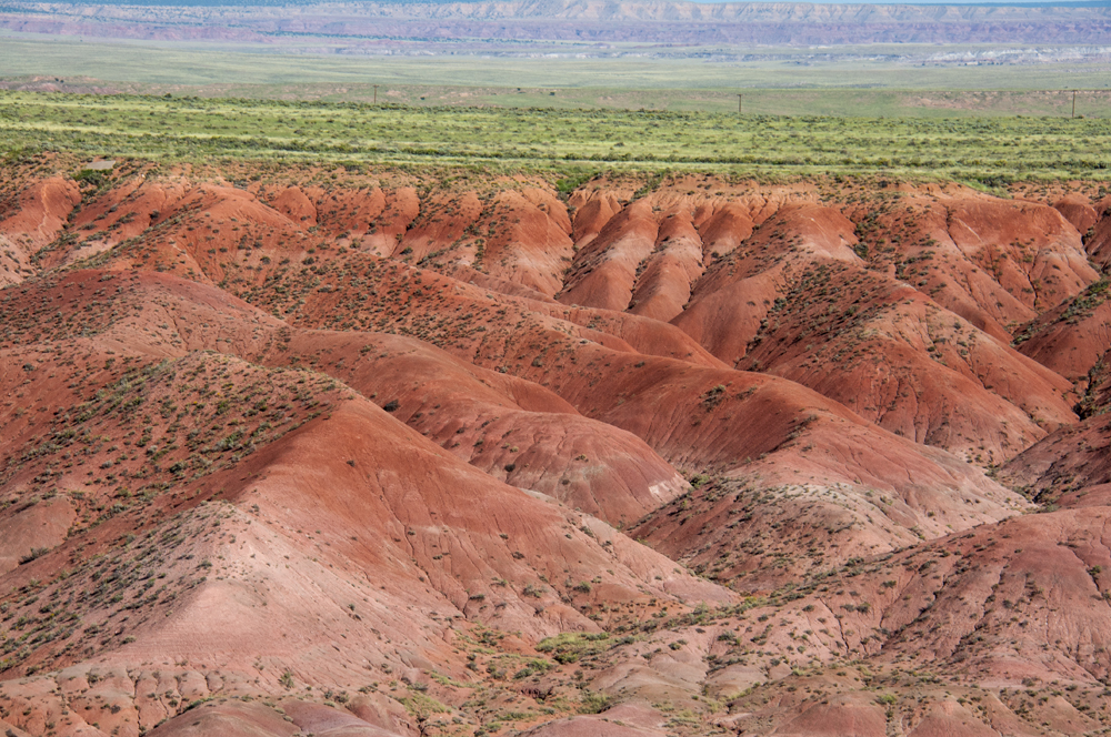 Petrified Forest National Park