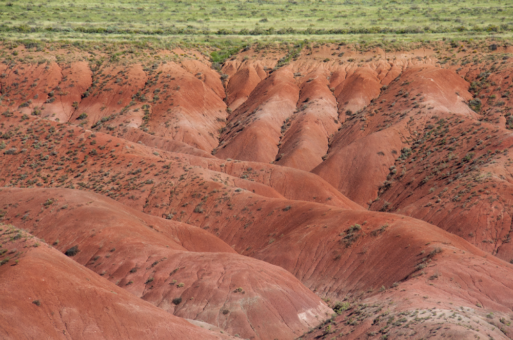 Petrified Forest National Park