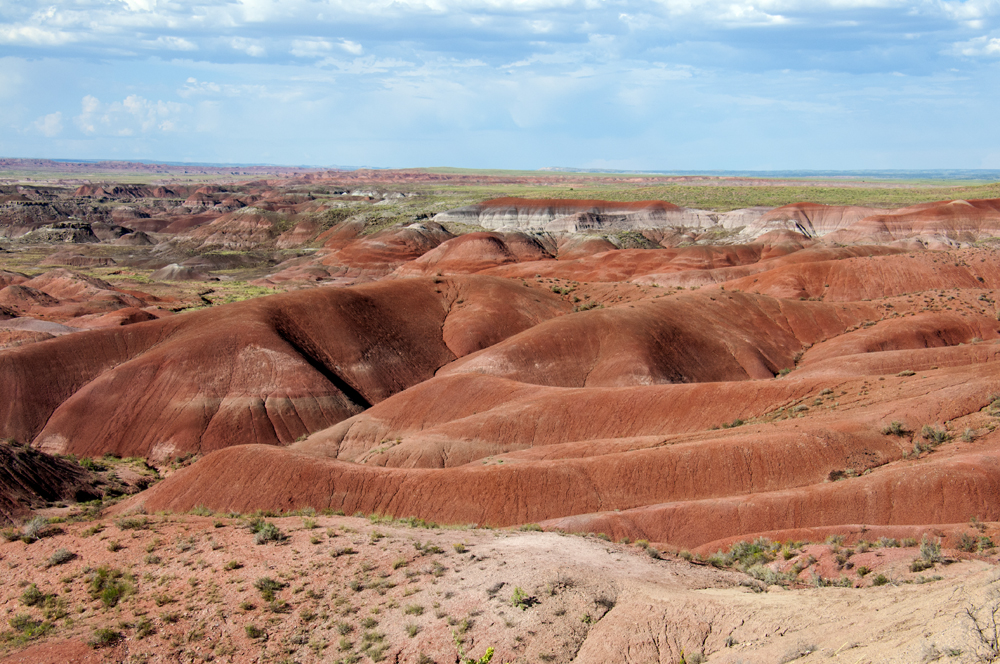 Petrified Forest National Park