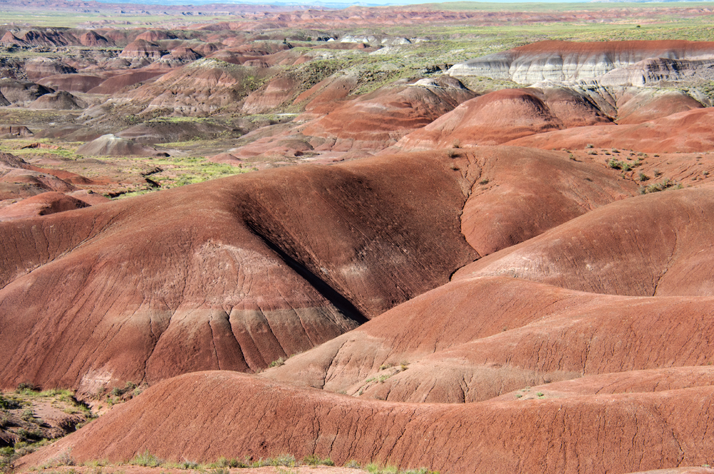 Petrified Forest National Park