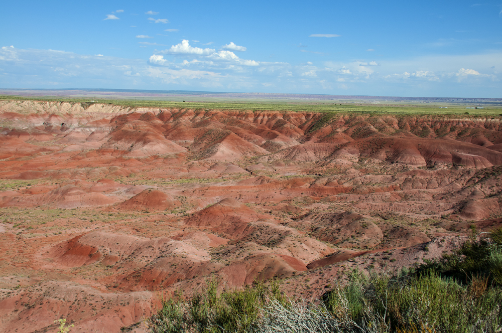 Petrified Forest National Park