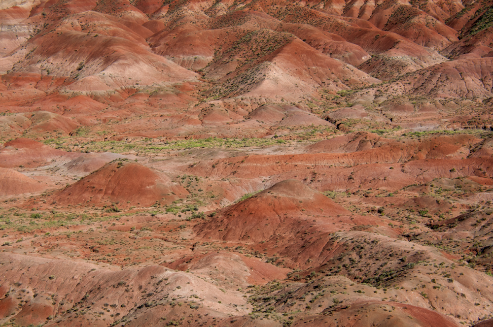 Petrified Forest National Park