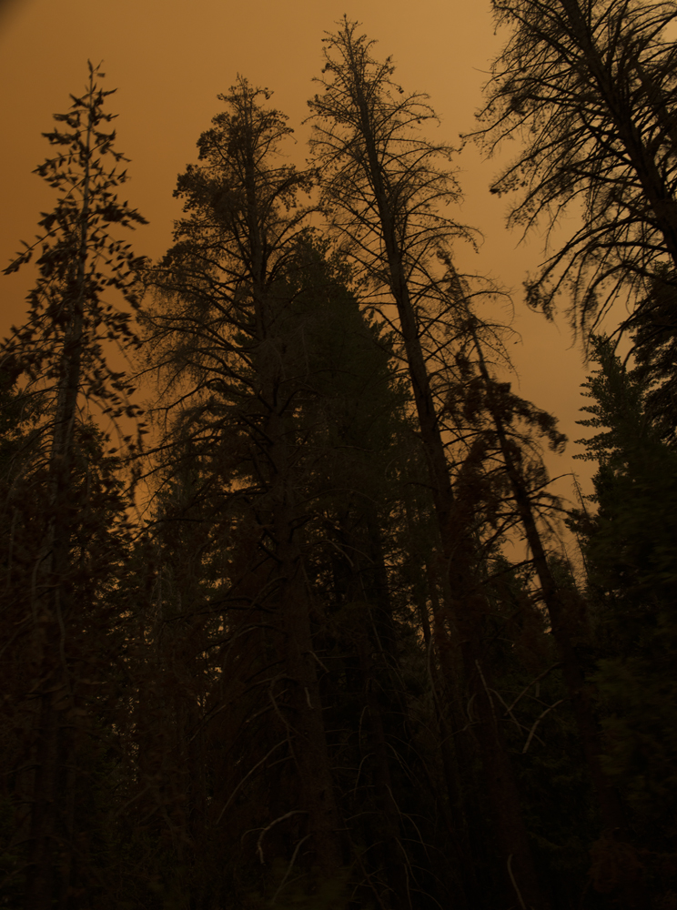 Yosemite Fire, California