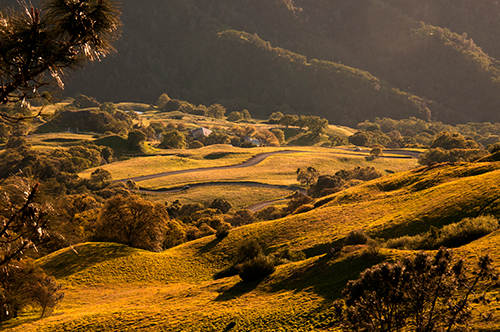 Mount Diablo State Park, California