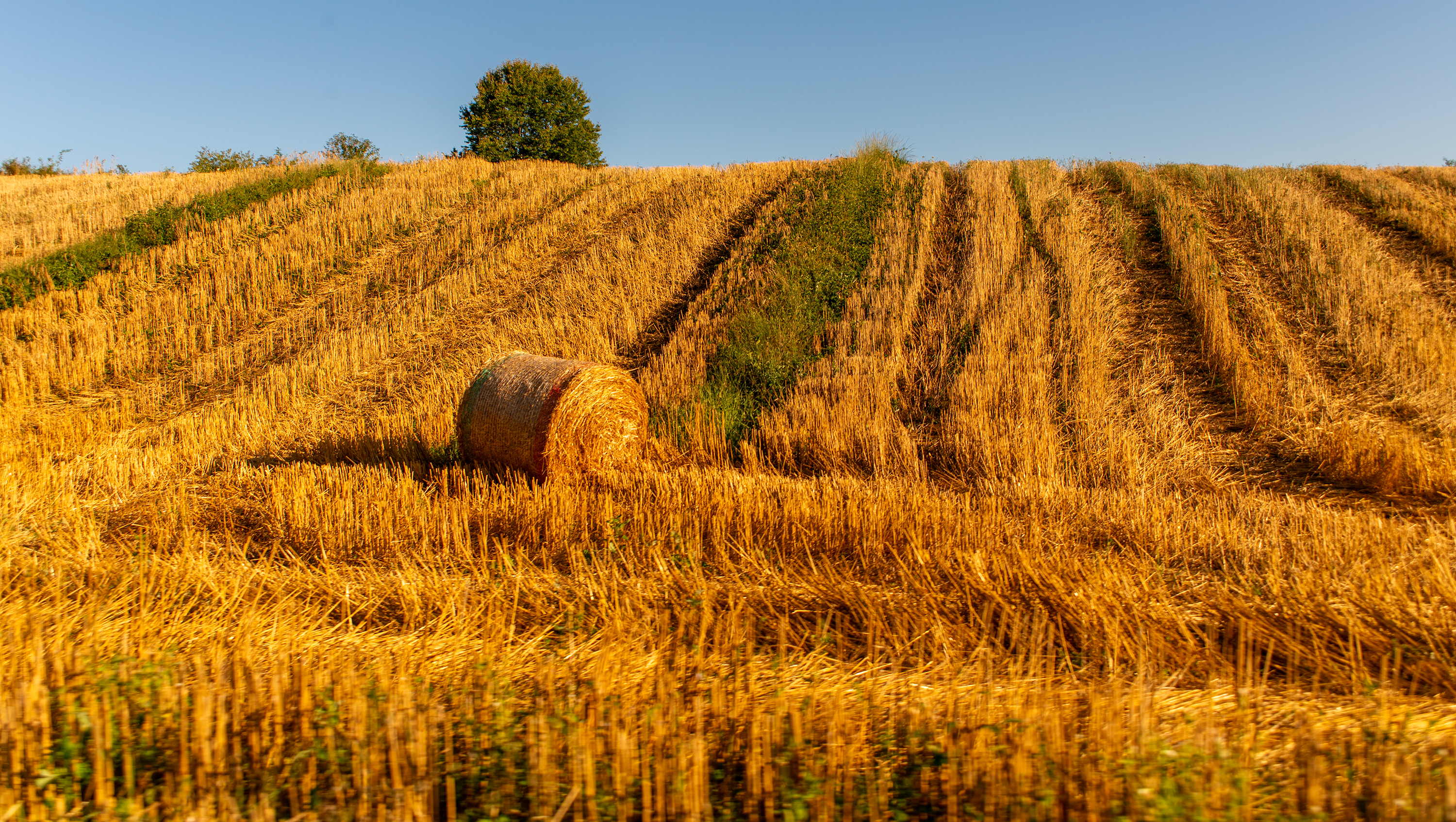 Plitvice Lakes, Croatia