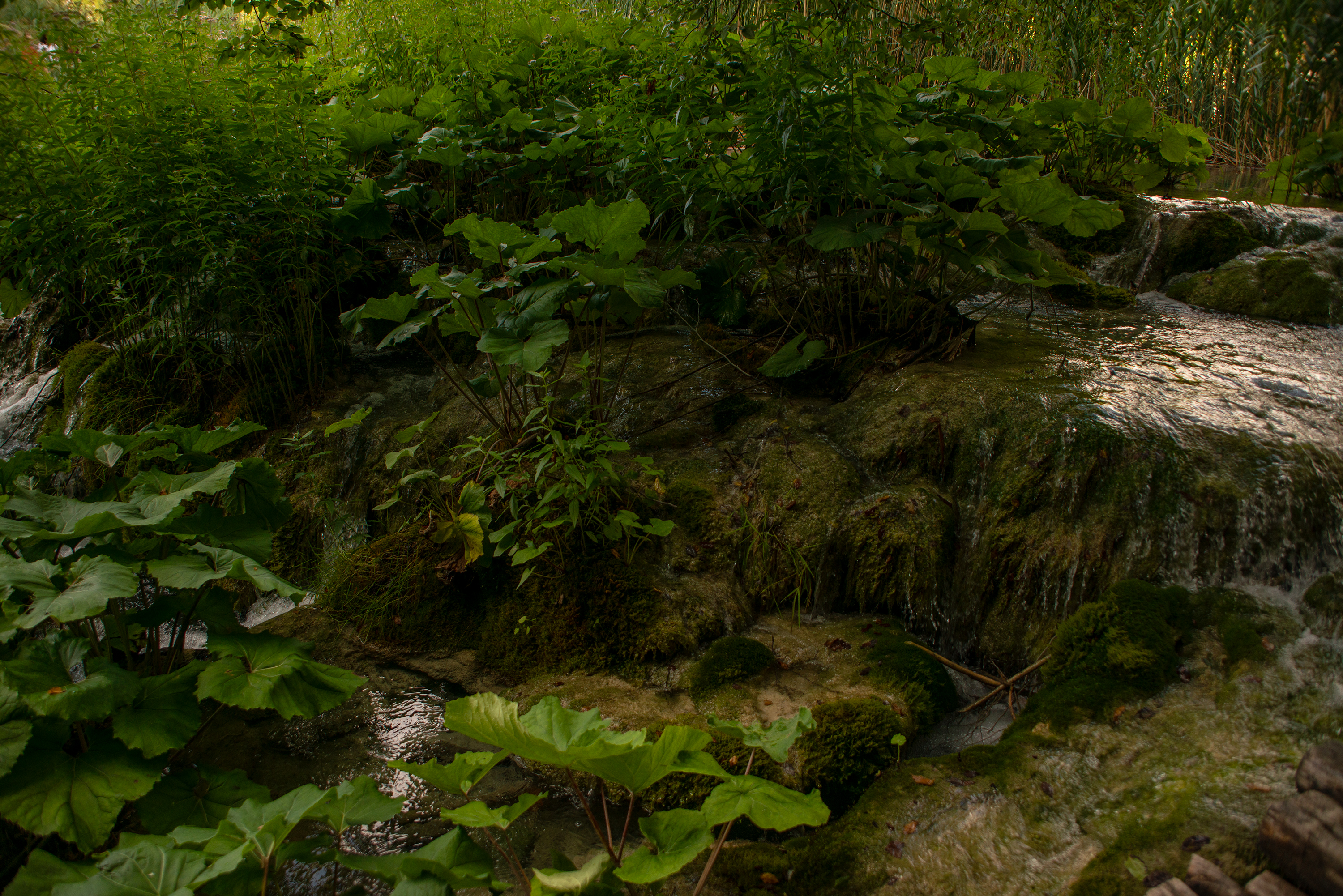Plitvice Lakes, Croatia