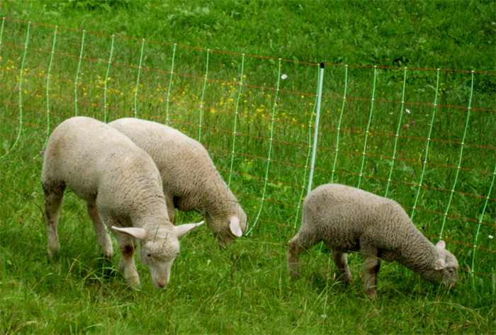 Switzerland Switzerland