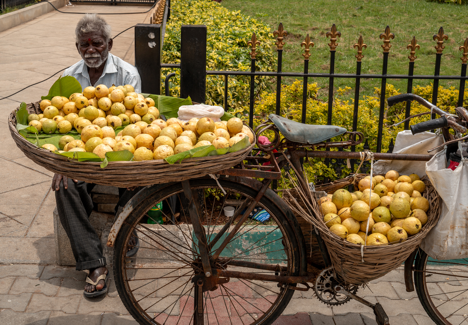 Bengaluru, Karnataka