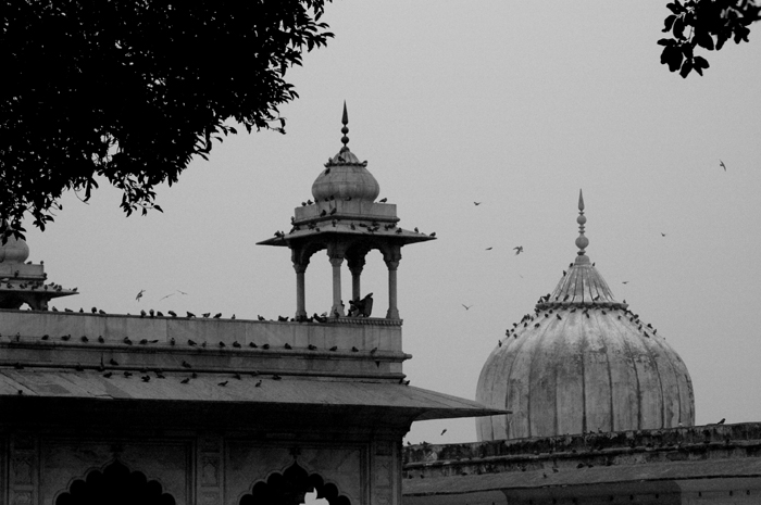 Lucknow, Uttar Pradesh