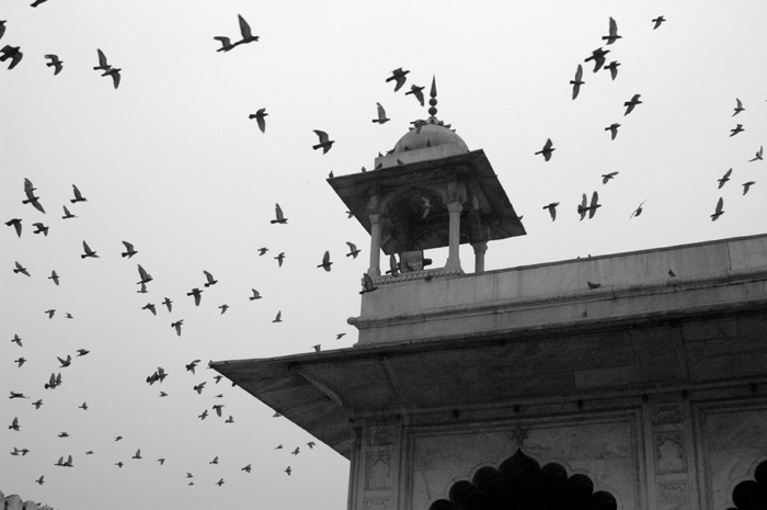Lucknow, Uttar Pradesh