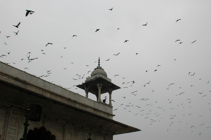 Lucknow, Uttar Pradesh