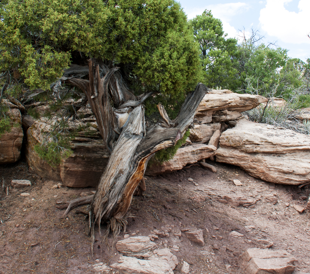 Canyon De Chelly National Monument