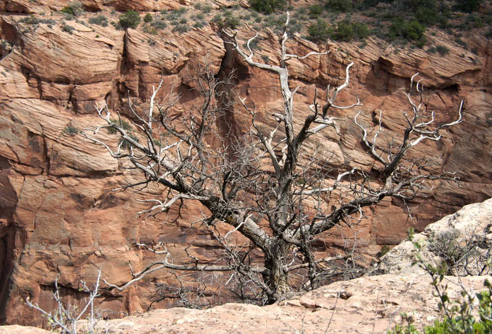 Canyon De Chelly National Monument
