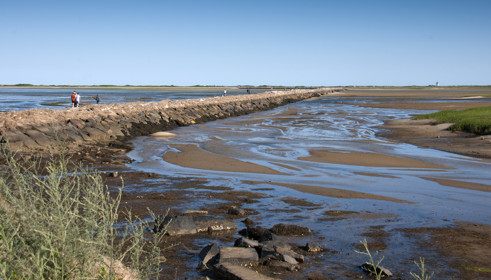 Cape Cod National Seashore