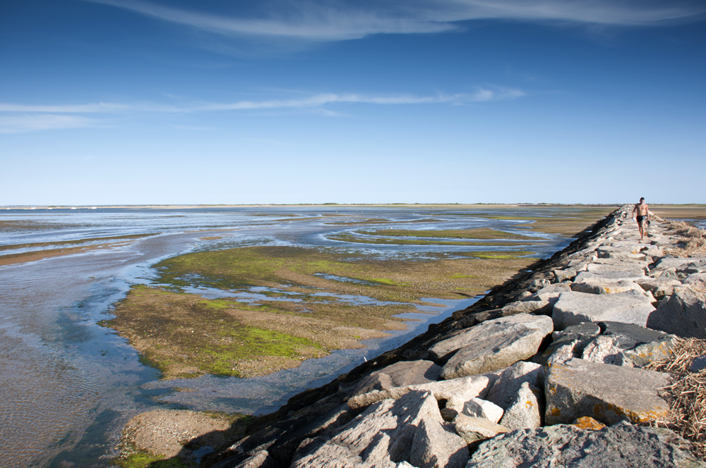 Cape Cod National Seashore