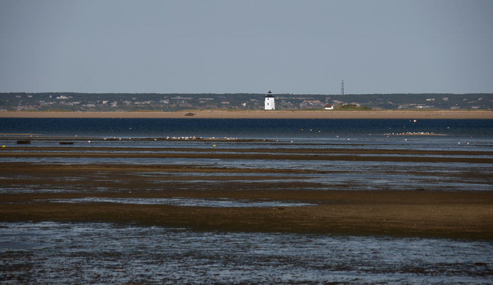 Cape Cod National Seashore