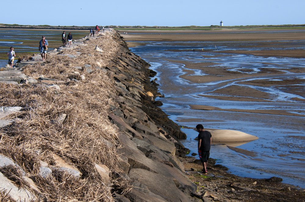 Cape Cod National Seashore