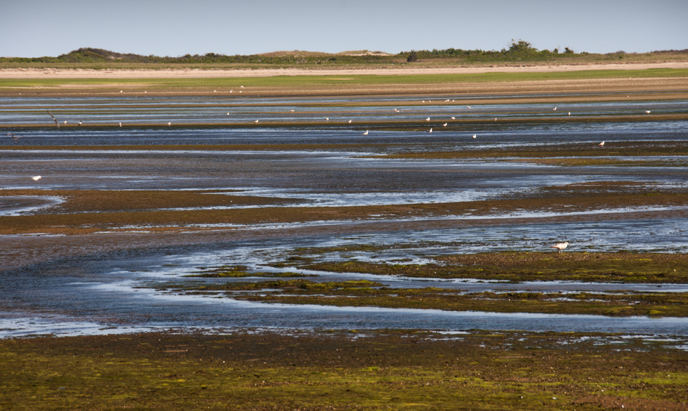 Cape Cod National Seashore