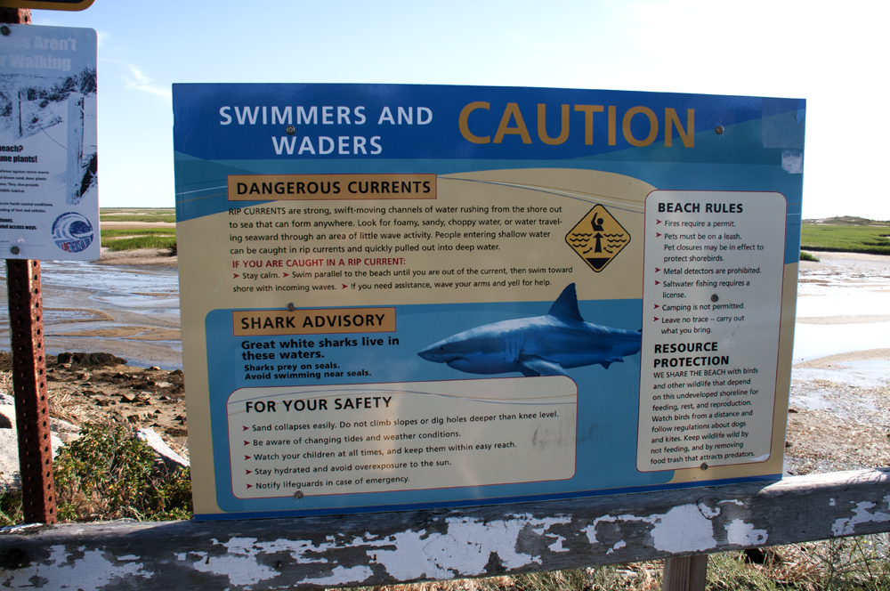 Cape Cod National Seashore