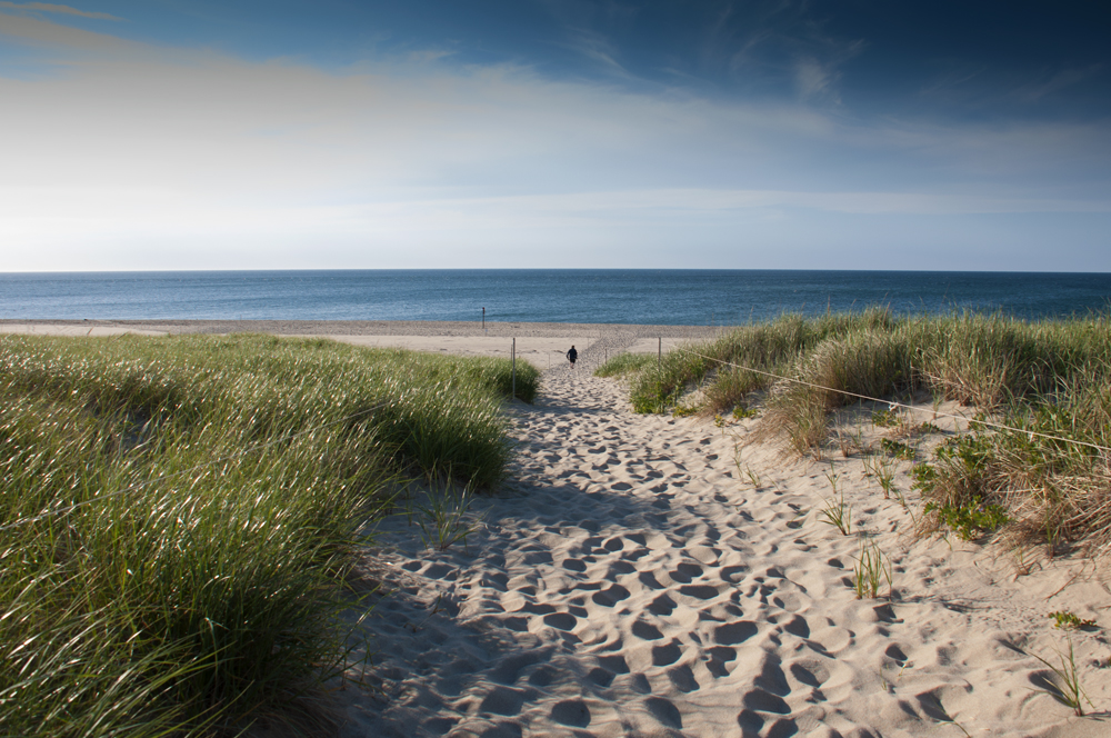 Cape Cod National Seashore