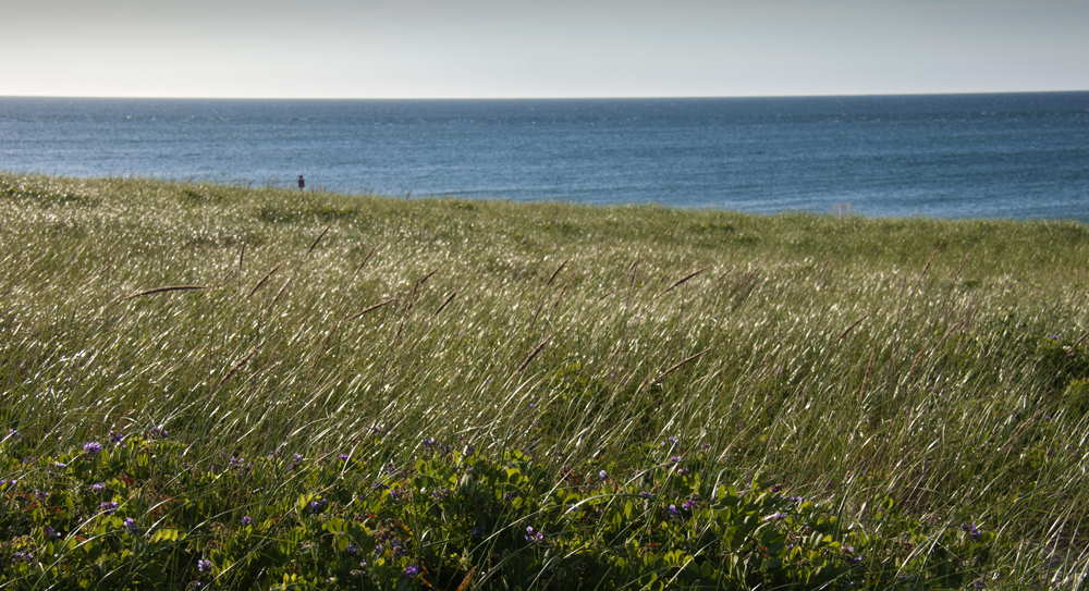 Cape Cod National Seashore