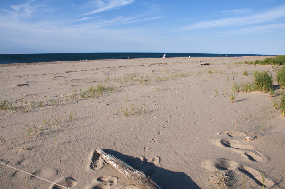 Cape Cod National Seashore