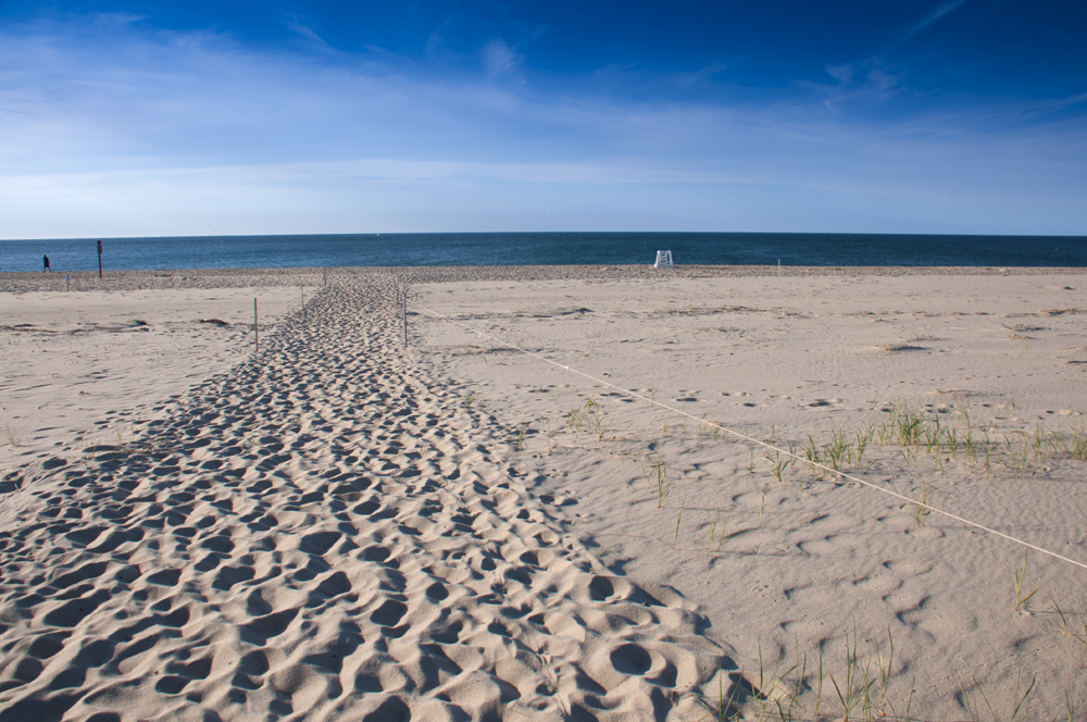 Cape Cod National Seashore