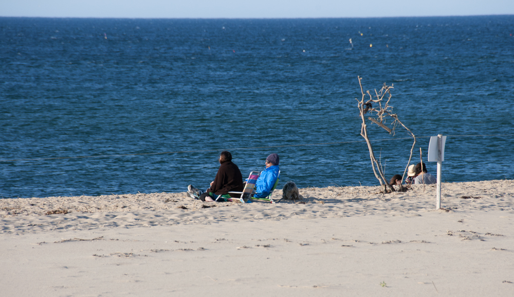 Cape Cod National Seashore