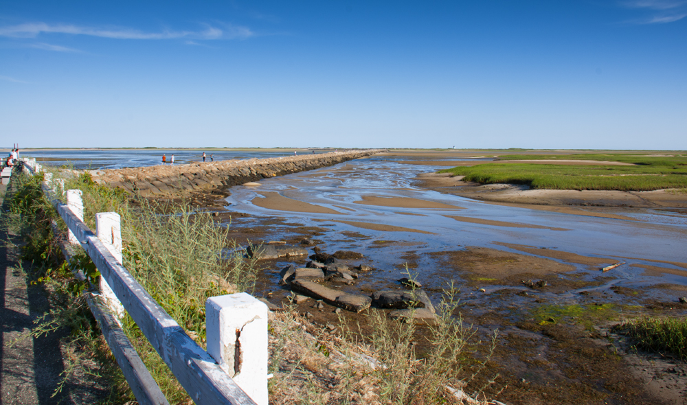 Cape Cod National Seashore