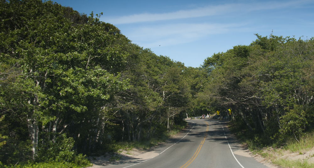 Cape Cod National Seashore