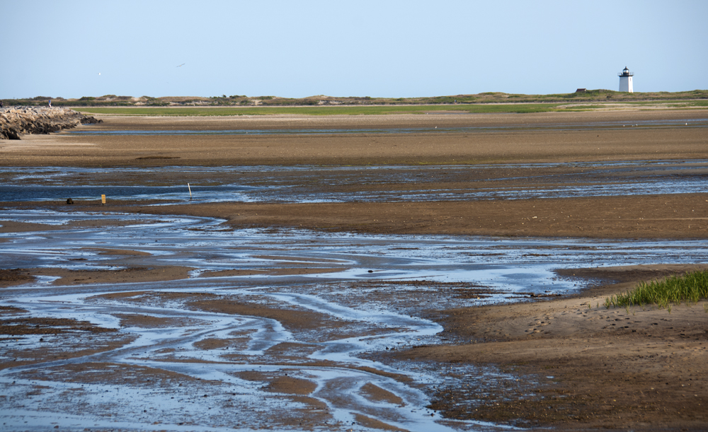 Cape Cod National Seashore