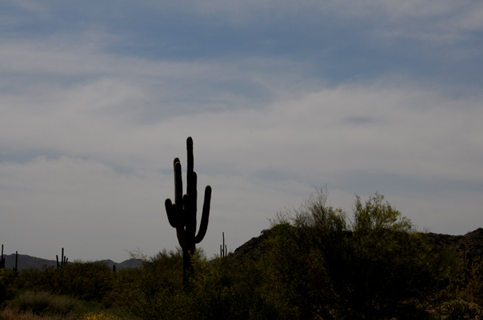 Casa Grande Ruins National Monument