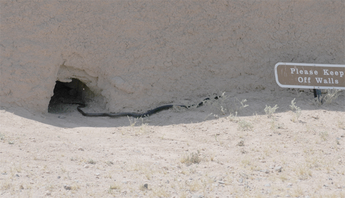 Casa Grande Ruins National Monument