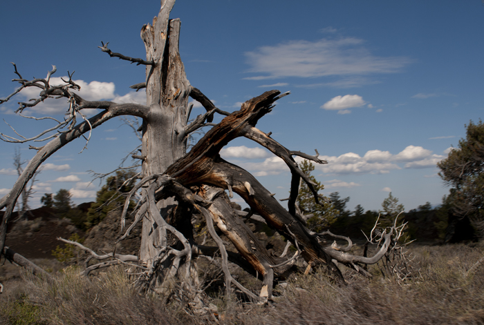 Craters Of The Moon National Monument and Preserve