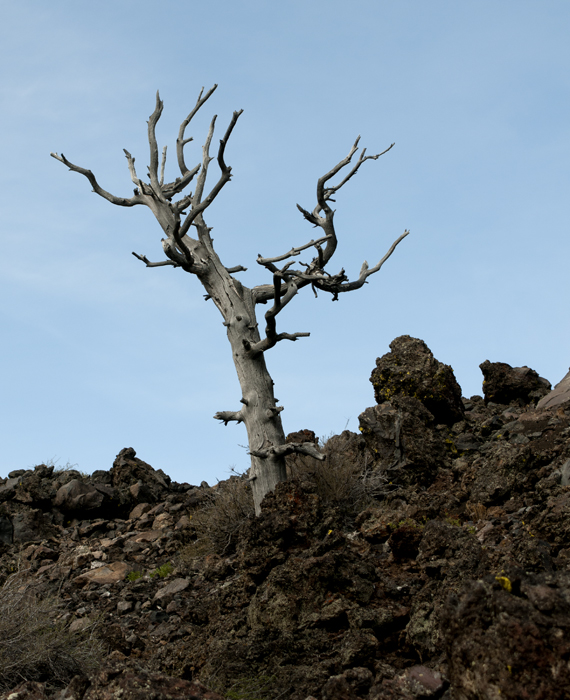 Craters Of The Moon National Monument and Preserve