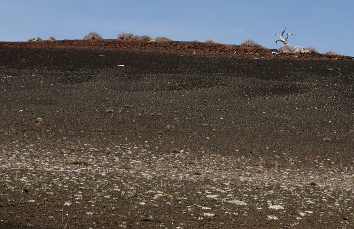 Craters Of The Moon National Monument and Preserve