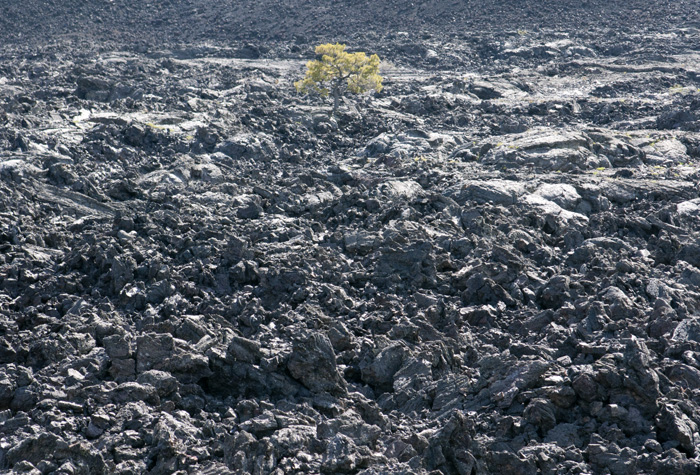 Craters Of The Moon National Monument and Preserve