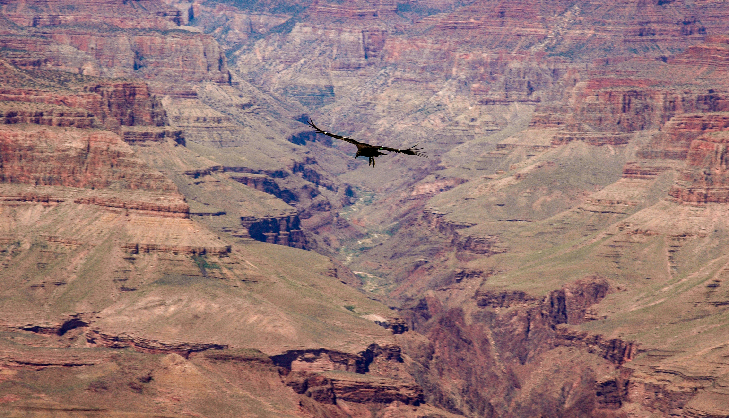 Grand Canyon National Park