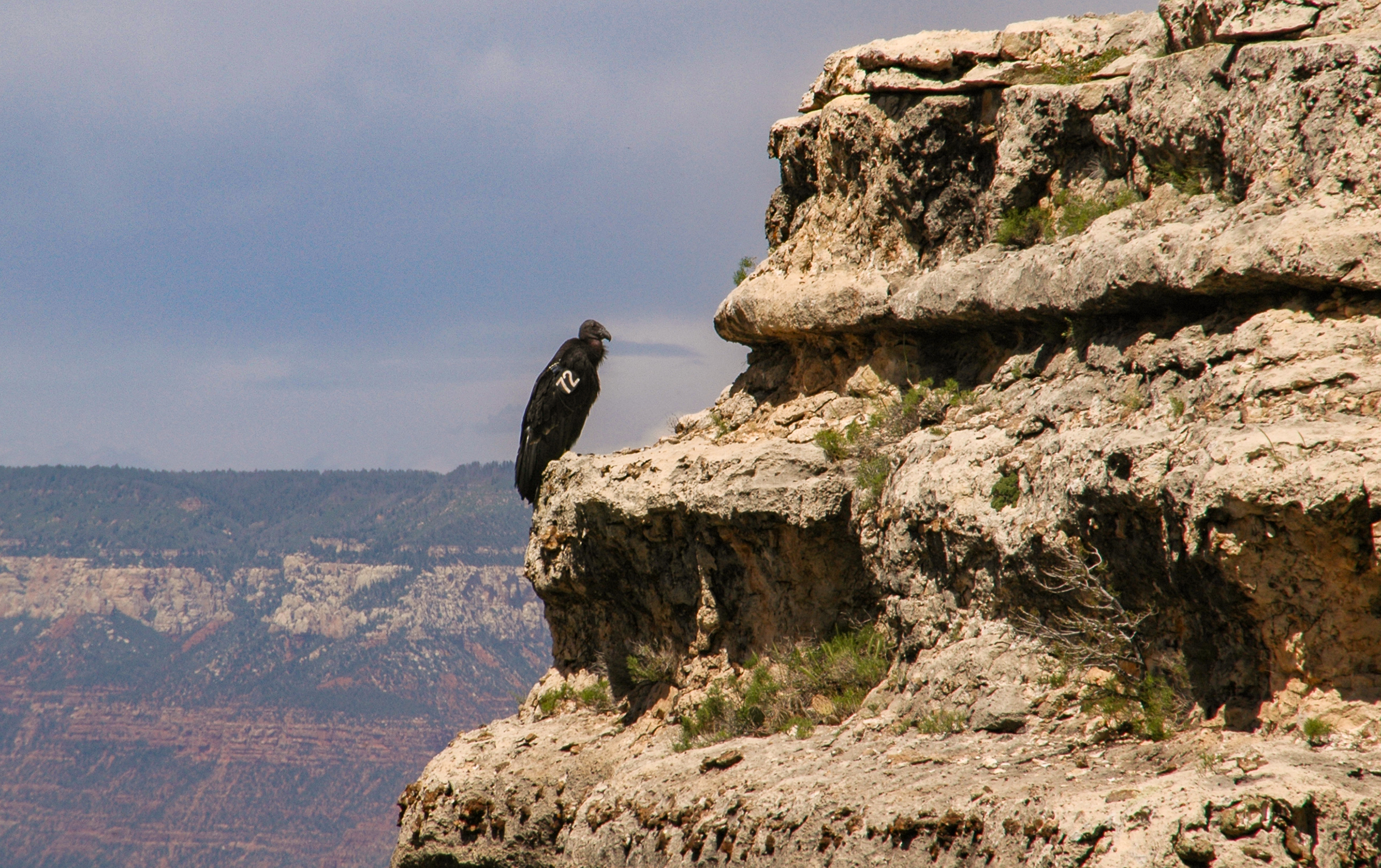 Grand Canyon National Park