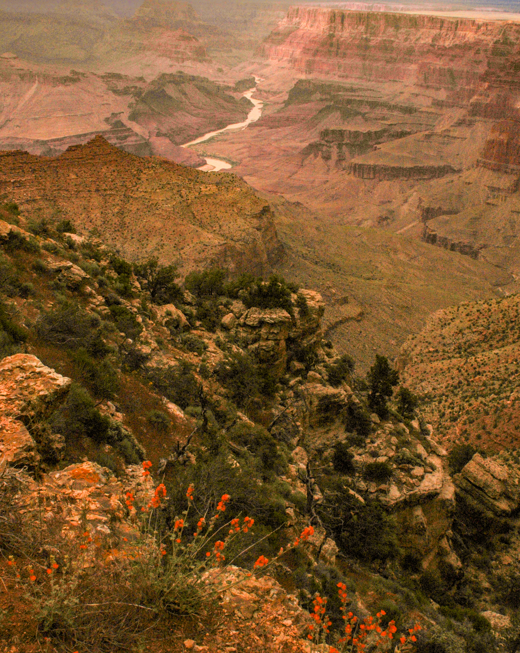 Grand Canyon National Park