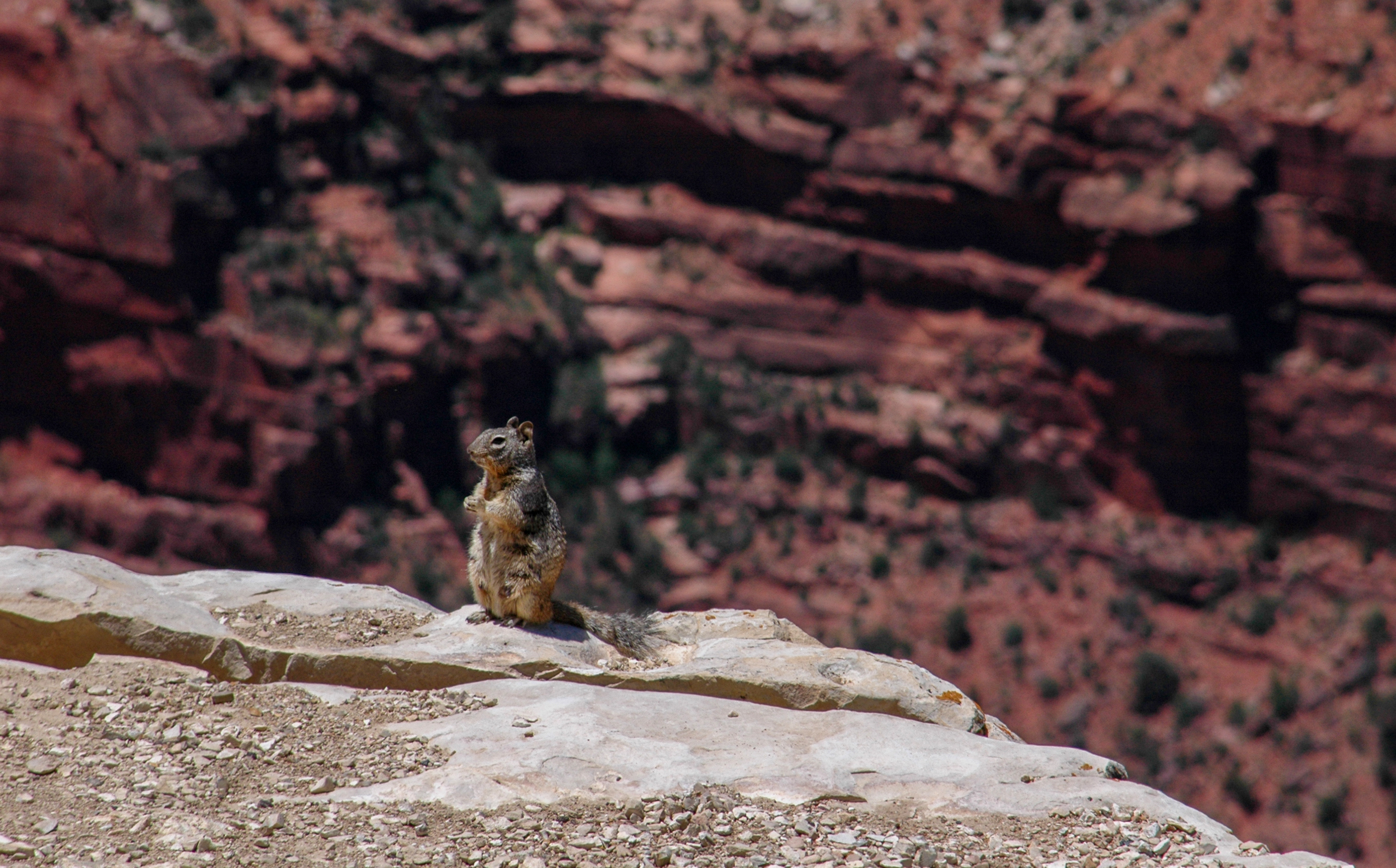 Grand Canyon National Park