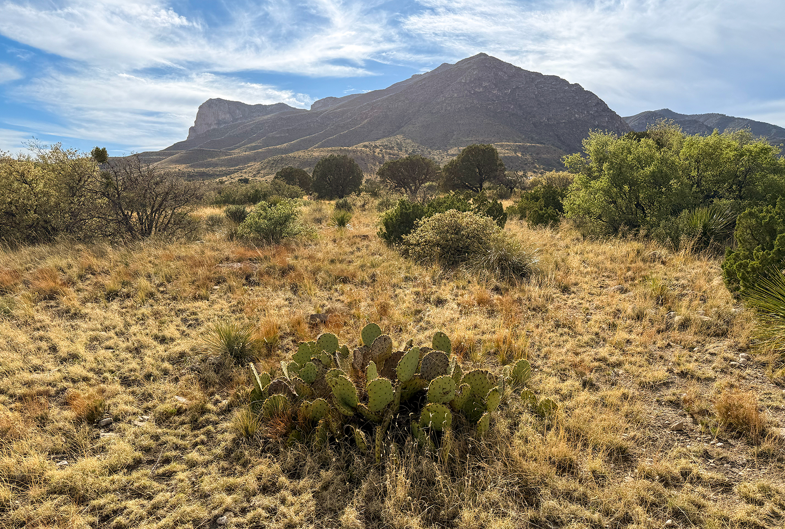 Guadalupe Mountains National Park Guadalupe Mountains National Park