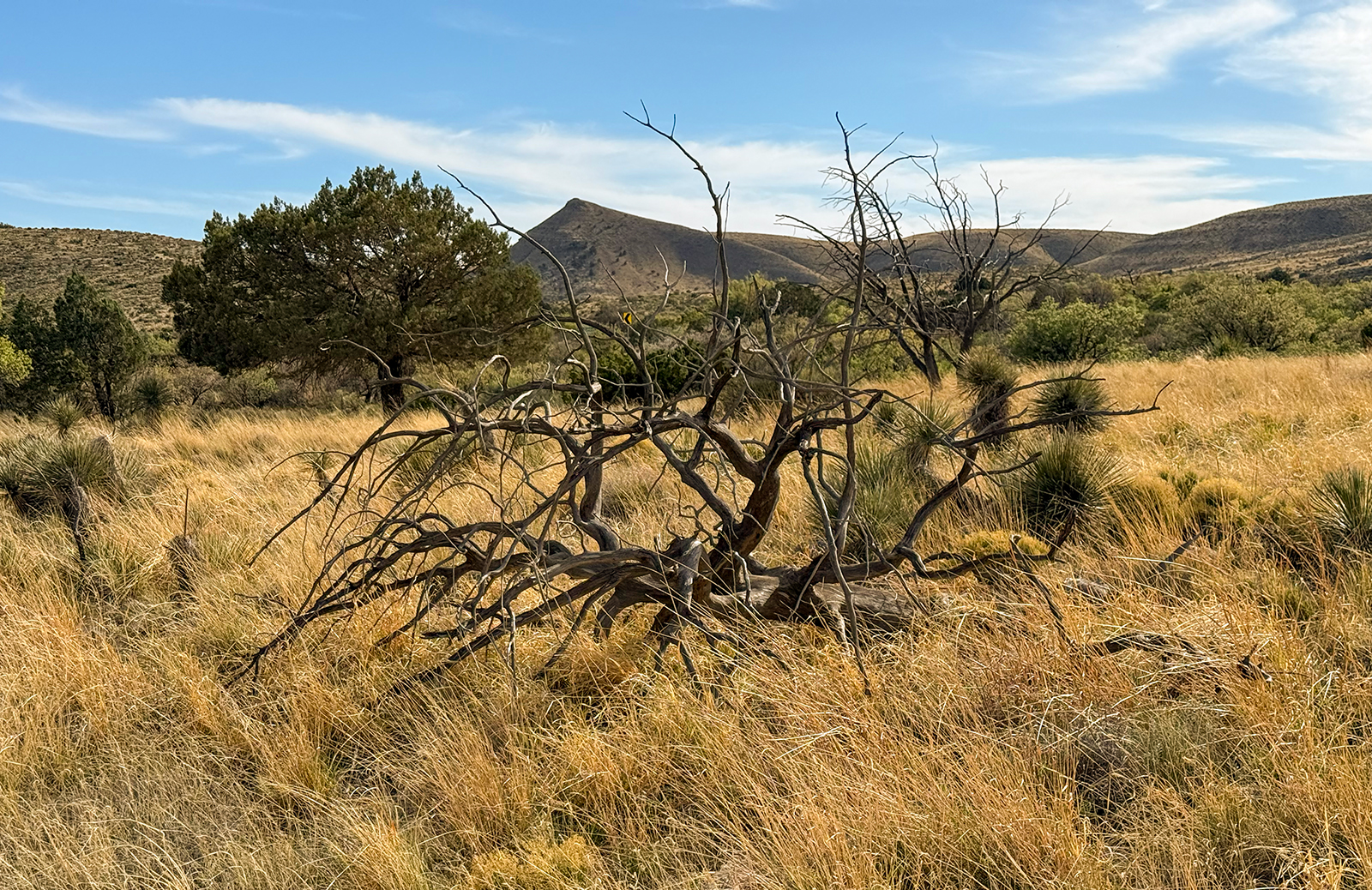 Guadalupe Mountains National Park Guadalupe Mountains National Park